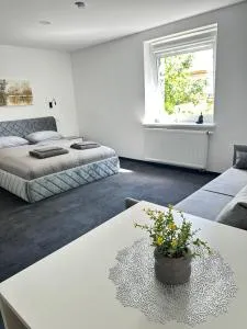 SILVIA apartment 109 - Vilkanastrai