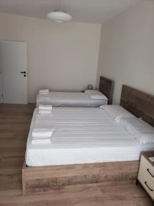 Shkoder City Center Apartment