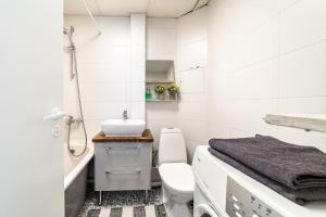 Cozy apartment in the city centre and free parking