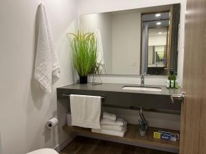 Best Choice Poblado Suite and Breakfast