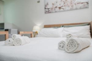 Pavarottis Suite in the Heart of Modena