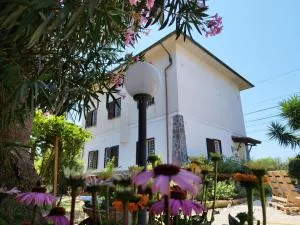 La Domus di Cosa - La Torba