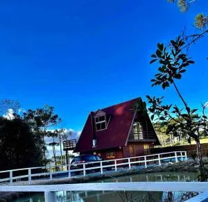 ChaleAraucariaAw - 阿尔弗雷多瓦格内尔