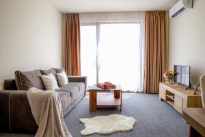 One-Bedroom Premium Apartment