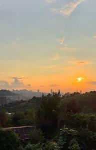 House Marie in nature