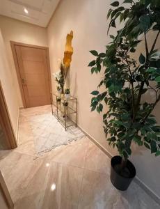 Appartement de luxe mina rosita