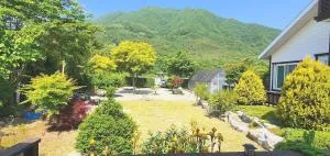 danyang deulggochyanggi - Danyang