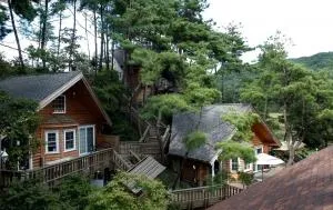 Hoengseong Cabin Town Pension - 横城