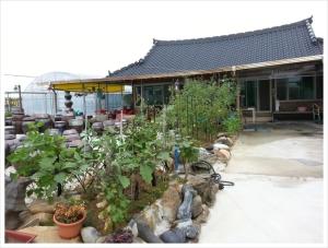 Najoo sunflowerstay