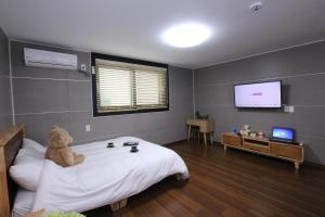 Uljin Blue Ara CD pension