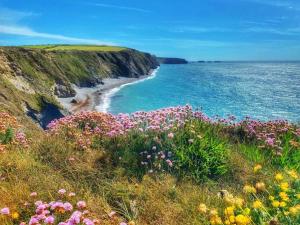 Newly renovated entire residential home Annestown Beach, County Waterford
