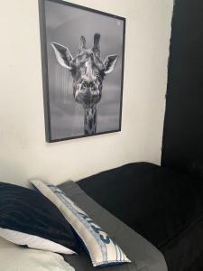 Propiedad de cuartos temáticos