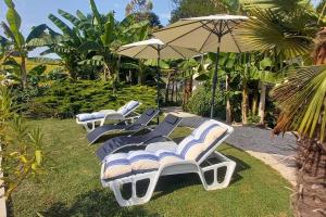Chalets Chalet cosy avec piscine en campagne : photos des chambres