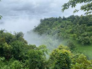 One villa coffee farm stay 1