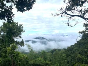 One villa coffee farm stay 2