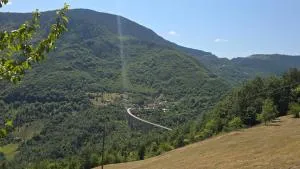Old house Tara - Bačevnik