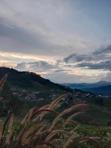 ม่อนดูดาว Mon Doo Dao