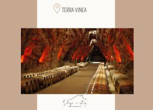 Appartements Apartment La Terasse : photos des chambres