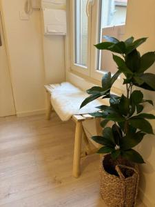 Le cocon Scandinavo-Champenois