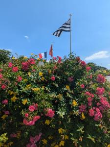 Campings Camping Municipal Tindio : photos des chambres