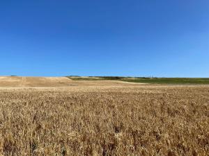 Maisons de vacances Jolie maison a Equihen-Plage : photos des chambres