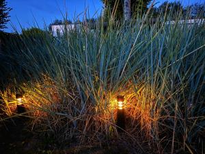 Breskens Chalet Strandleben Breskens mit Zaun Hausnr B75