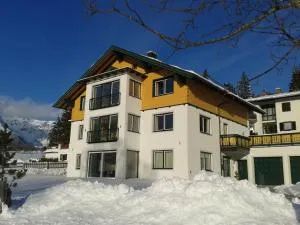 Apartment Österreich - رامساو أم داتشستين