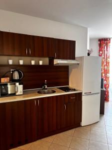 Central Apartment Sunny beach