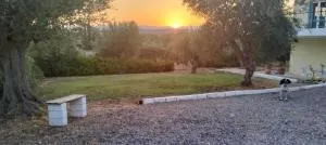 Peaceful Retreat in Olive Grove with Endless Views - 美西尼