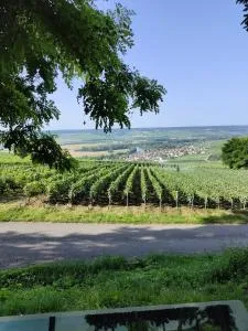 Le Relais de la Bulle Enchantée - Champillon