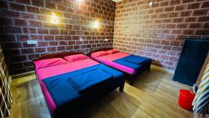 Dandeli Kali River Stay