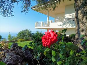 Casa di Tota - Affittacamere