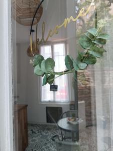 Appartements Havre de paix coeur de Vichy : photos des chambres