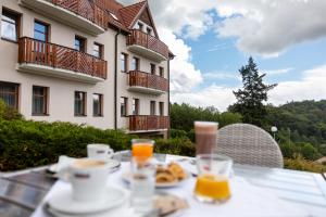 Pytloun Wellness Hotel Hasištejn