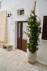 B&B San Carlo