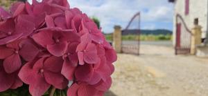 Maisons d'hotes Chambres d'hote & Gite Chateau Le Conte - Saint Emilion : photos des chambres