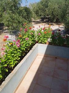 Appartamento Pisturri img16