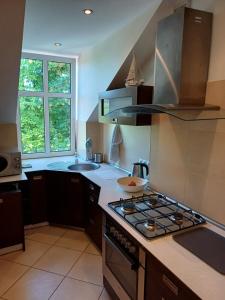 Apartament na poddaszu