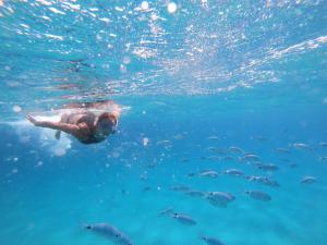 Tuffo nel blu Capitana, Best Vacation Ever img28