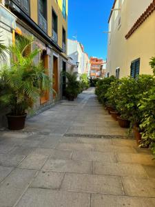 Apartamento LAS FLORES