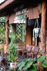 Berliant Homestay - Jambu