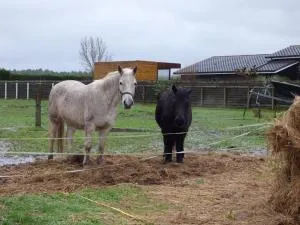 les 3 notes de mérotte - Abzac