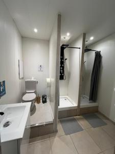 Appartements Gite Amazonia : photos des chambres