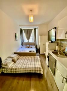 modern studio Apartment sleeps 4 people opposite Westfield Shepherds bush