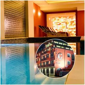 Ardo Hotel and Restaurant - سارنيتسا