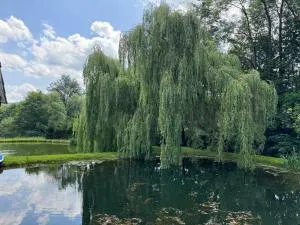 Restauracja i Noclegi Izba Rybacka w Krainie Wygasłych Wulkanów - Dobków