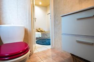 Appartements Joli Studio Joinville bord de marne 15m de Paris : photos des chambres