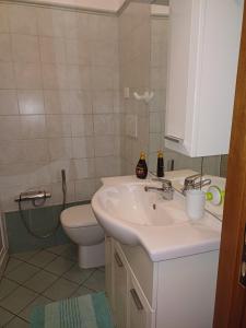 La casa sotto al volto