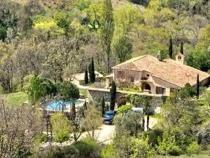 Mas d'exception en pierre avec piscine et vue - Vercoiran