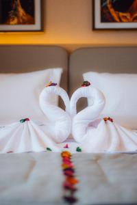 Elite View Hotel Dakhla